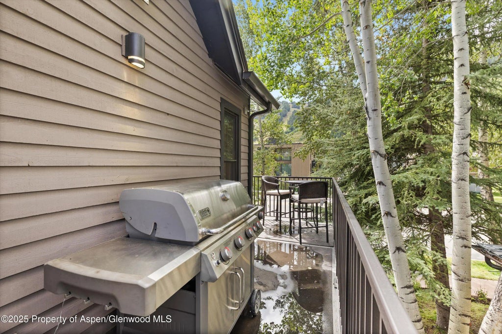 28 of 58 - 122 W Main Street, Aspen, CO