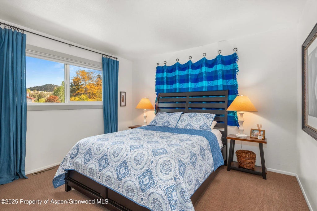 14 of 32 - 621 S 2nd Street U, Carbondale, CO