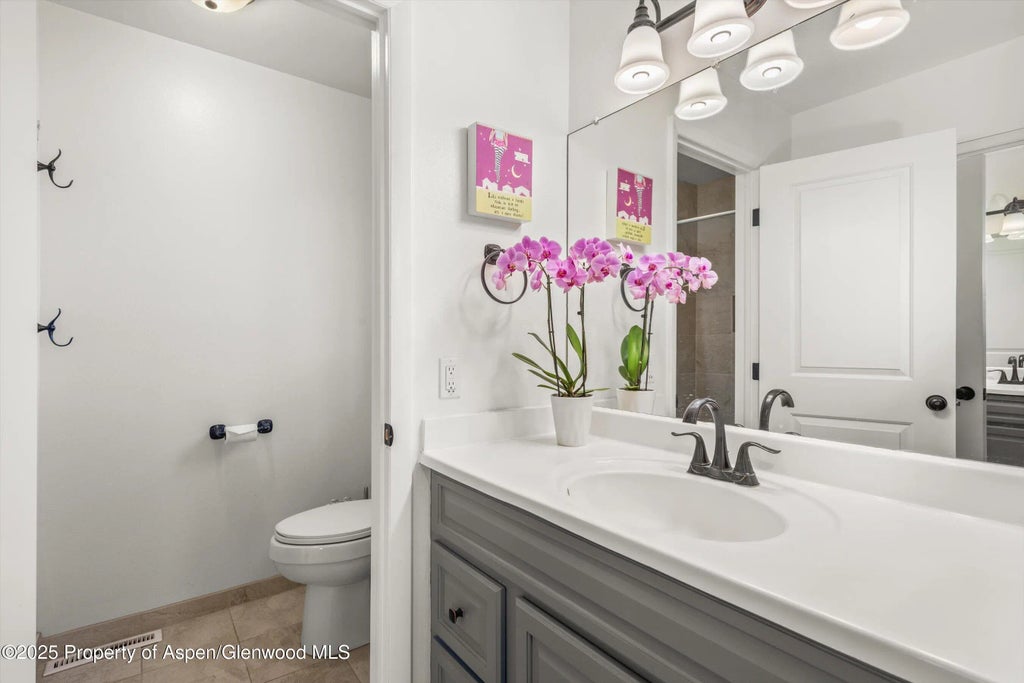 16 of 32 - 621 S 2nd Street U, Carbondale, CO