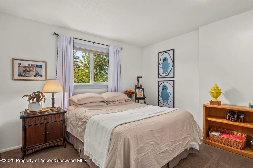 17 of 32 - 621 S 2nd Street U, Carbondale, CO