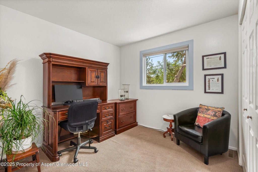 18 of 32 - 621 S 2nd Street U, Carbondale, CO