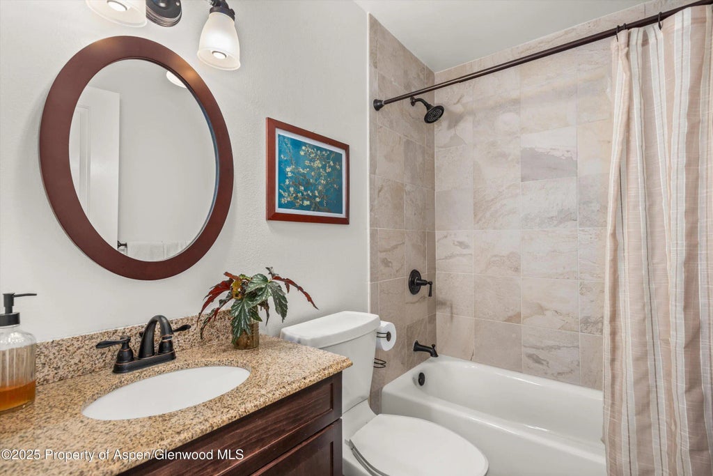 19 of 32 - 621 S 2nd Street U, Carbondale, CO