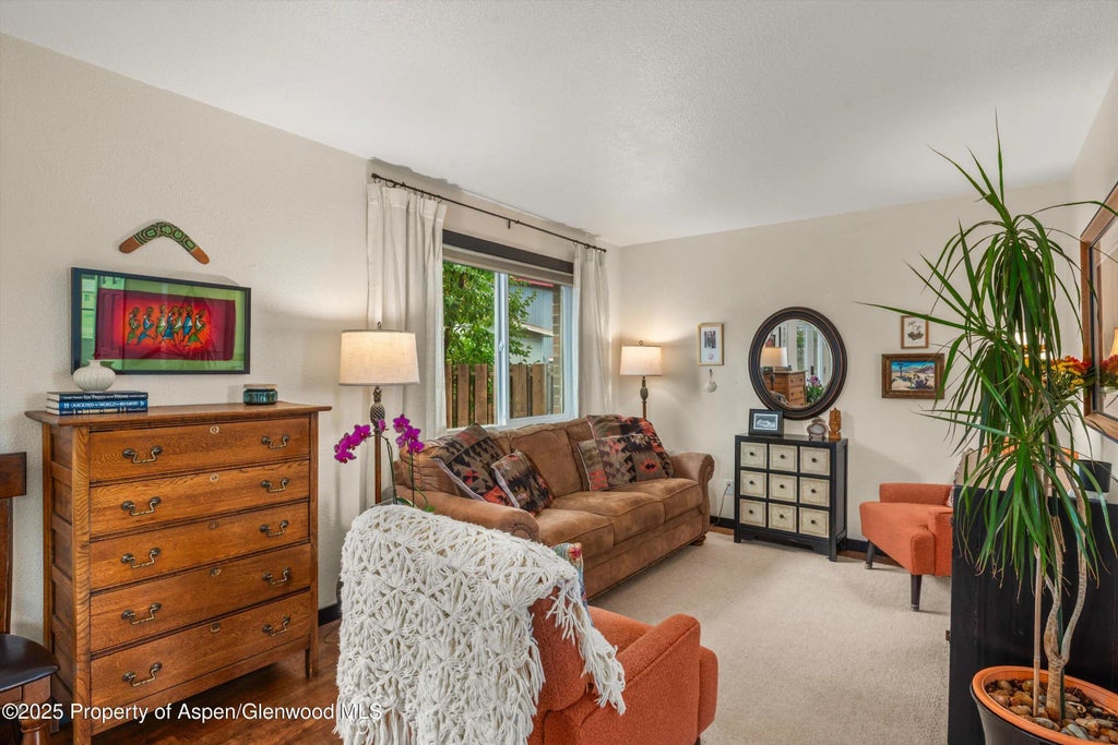 4 of 32 - 621 S 2nd Street U, Carbondale, CO