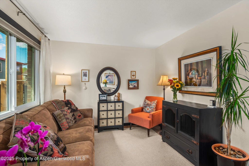6 of 32 - 621 S 2nd Street U, Carbondale, CO