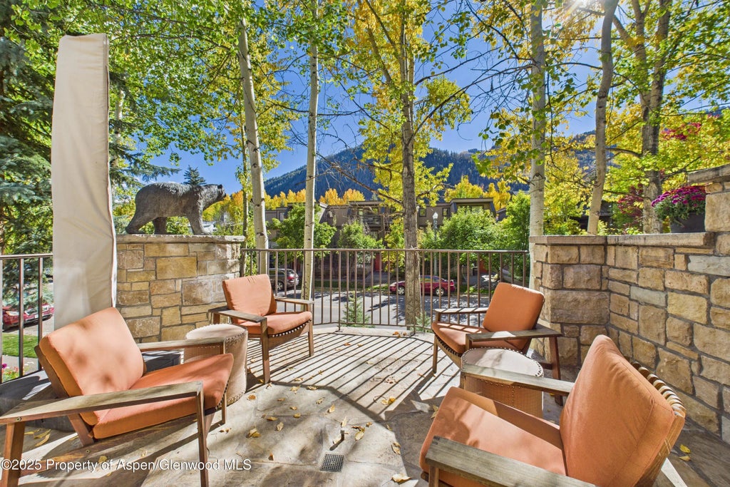 15 of 38 - 914 E Cooper Avenue, Aspen, CO