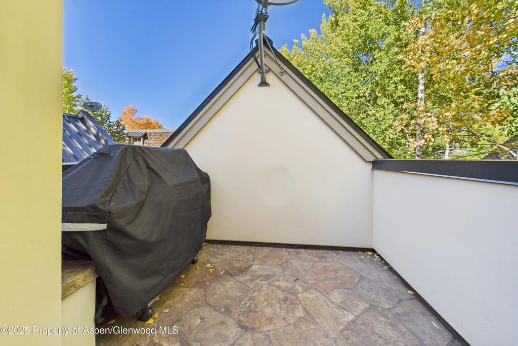 23 of 38 - 914 E Cooper Avenue, Aspen, CO