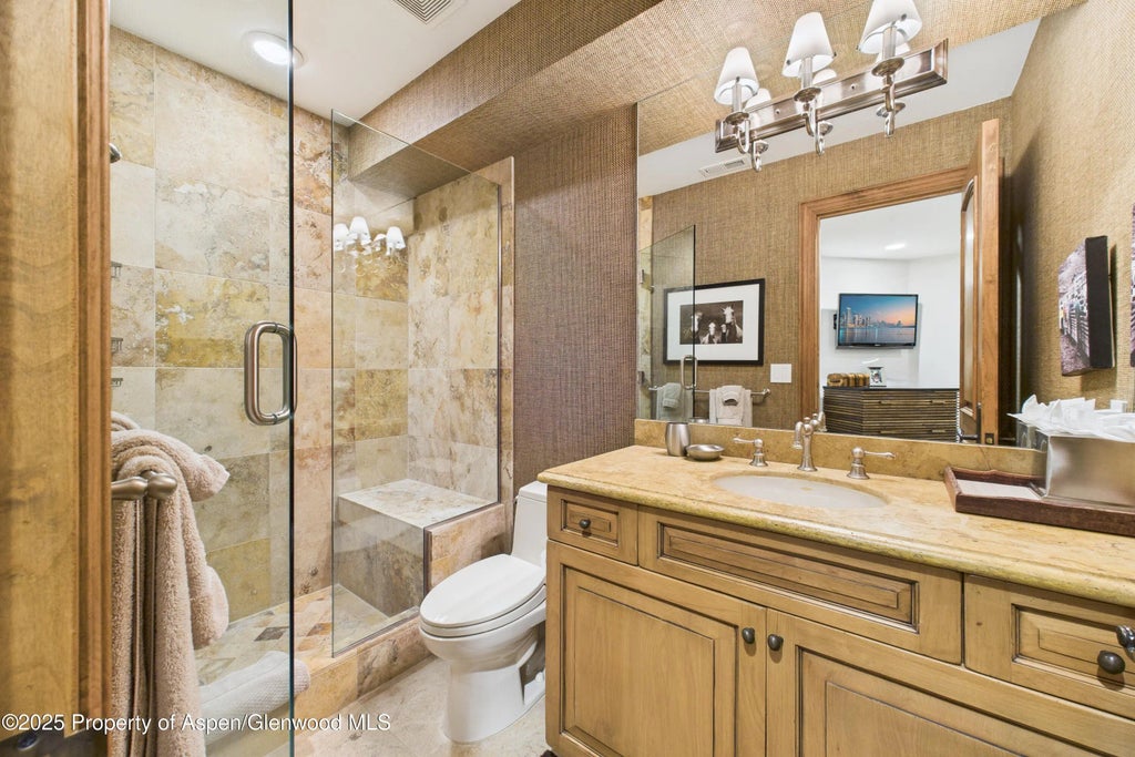 29 of 38 - 914 E Cooper Avenue, Aspen, CO