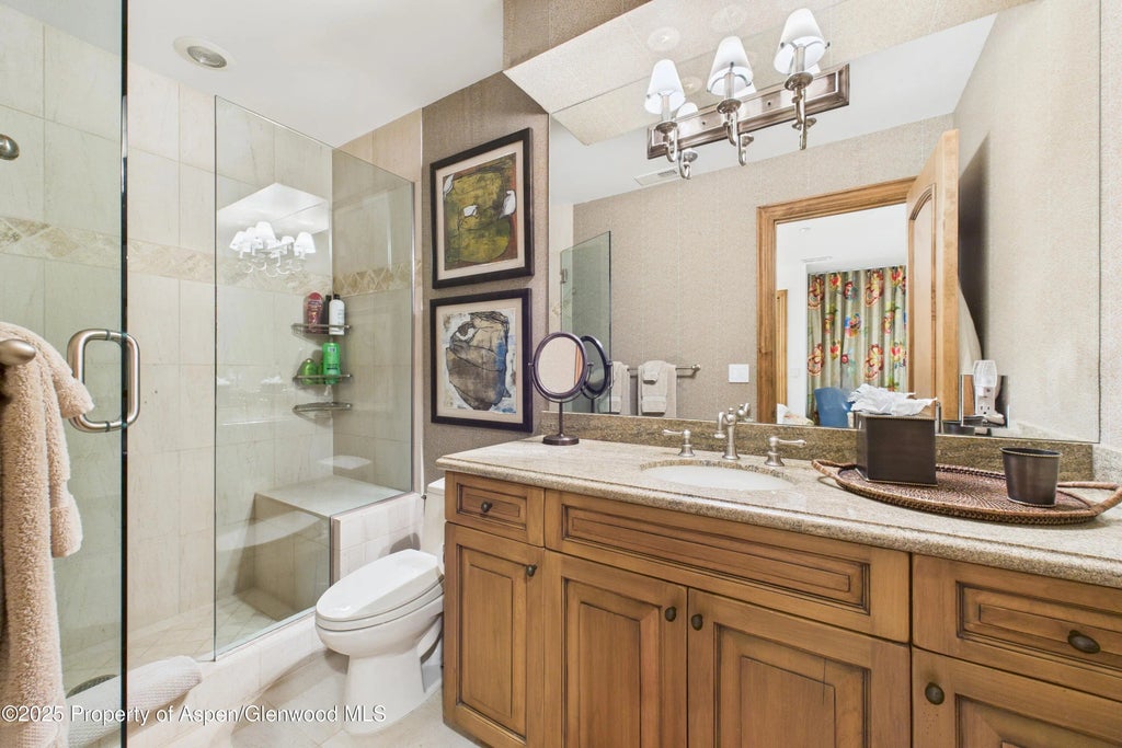 31 of 38 - 914 E Cooper Avenue, Aspen, CO