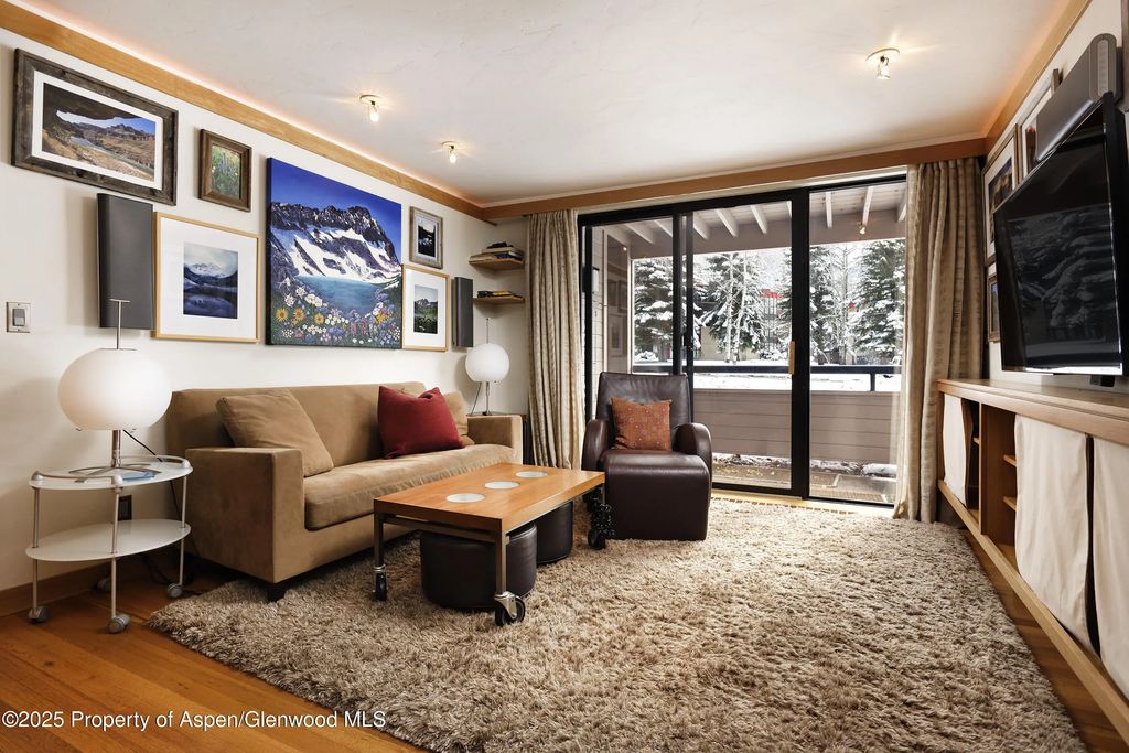 5 of 17 - 415 Vine Street 415, Aspen, CO