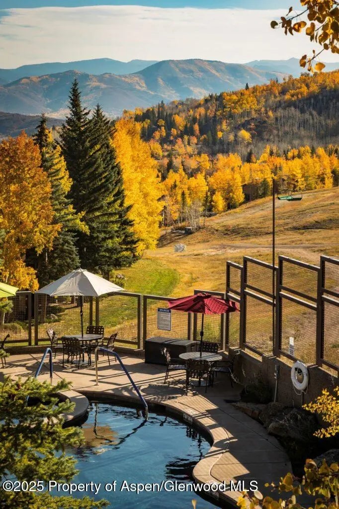 27 of 31 - 690 Carriage Way C2g, Snowmass Village, CO