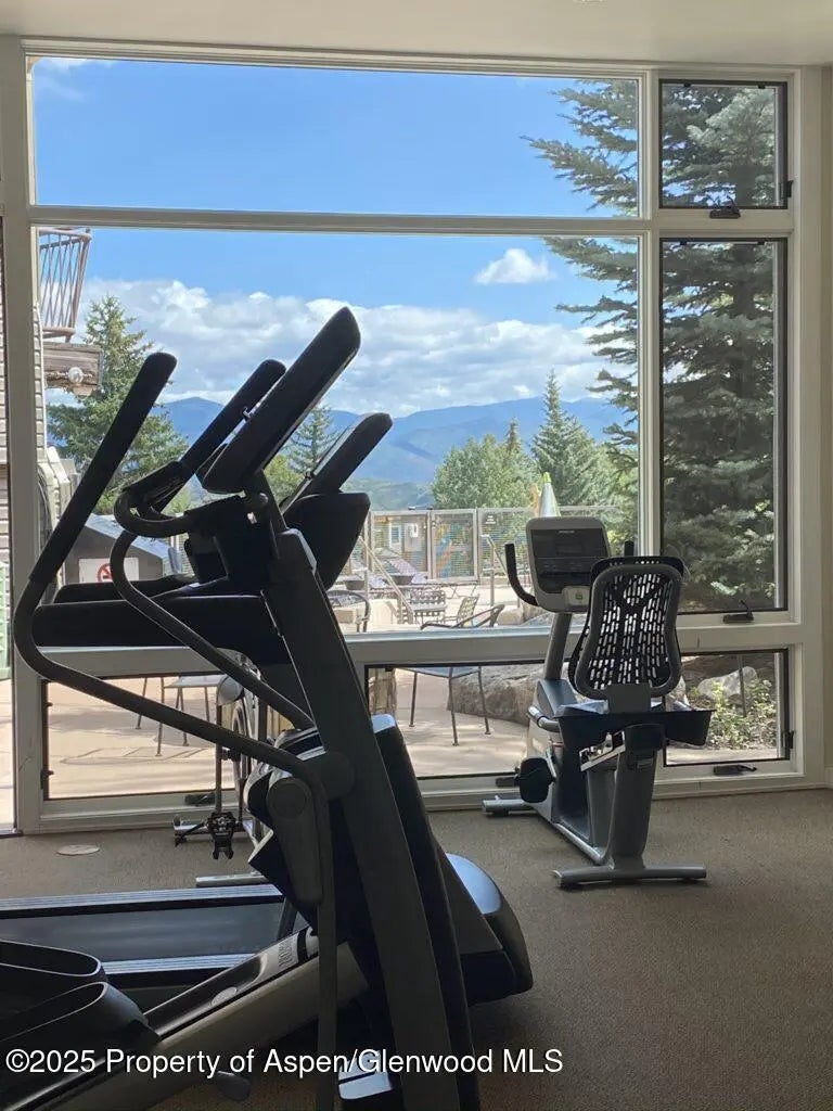 29 of 31 - 690 Carriage Way C2g, Snowmass Village, CO