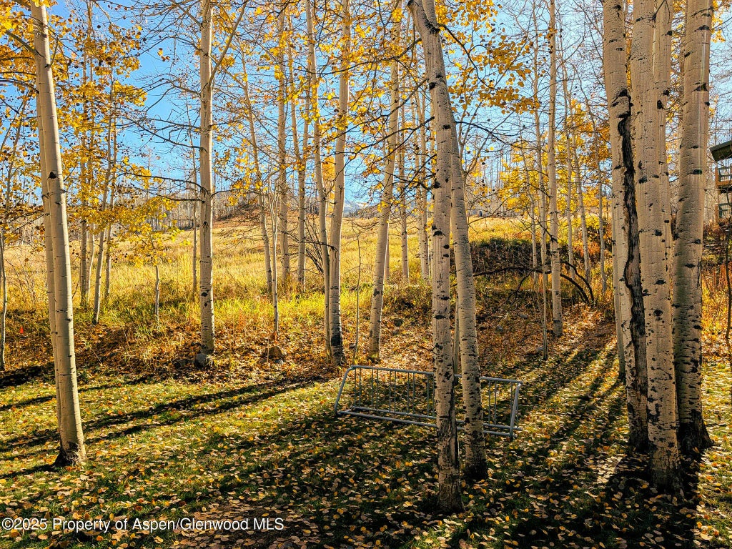 8 of 31 - 690 Carriage Way C2g, Snowmass Village, CO