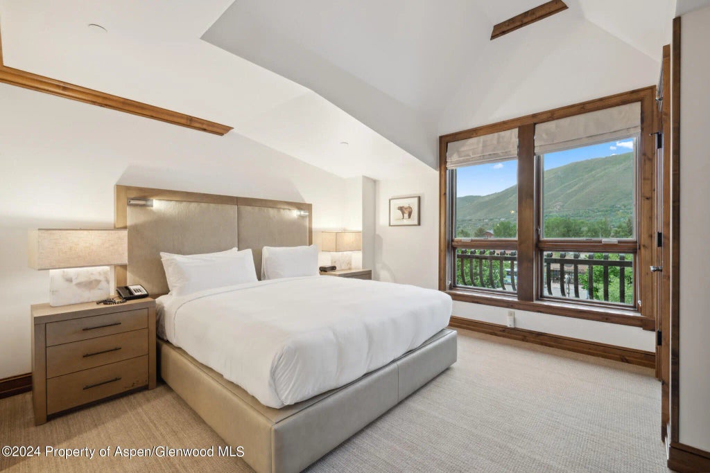 15 of 25 - 415 E Dean St., Unit 30, Week 9, Aspen, CO