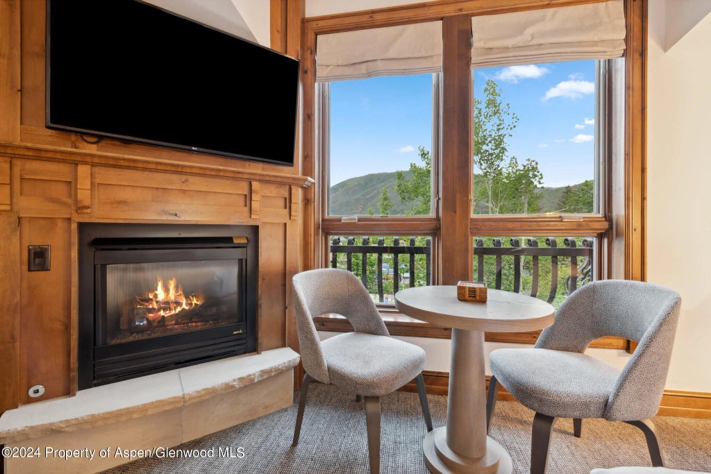 20 of 25 - 415 E Dean St., Unit 30, Week 9, Aspen, CO