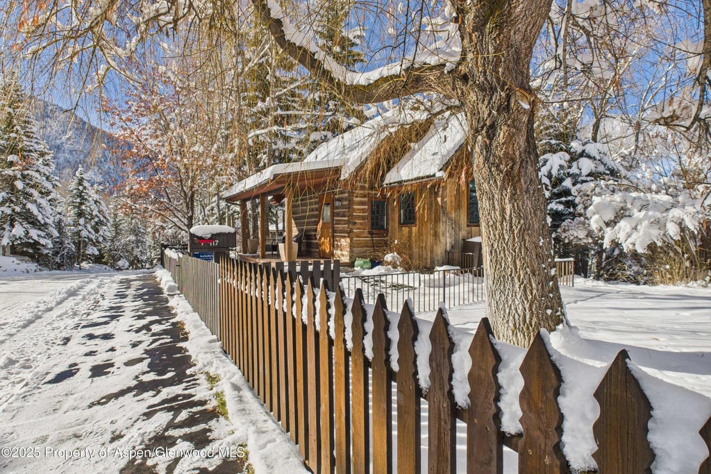 18 of 21 - 117 Neale Avenue, Aspen, CO