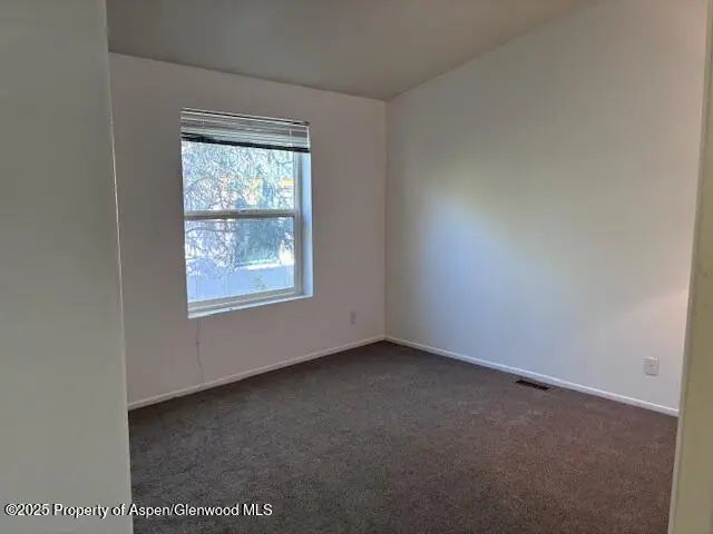 10 of 13 - 227 Cottonwood Lane, Aspen, CO