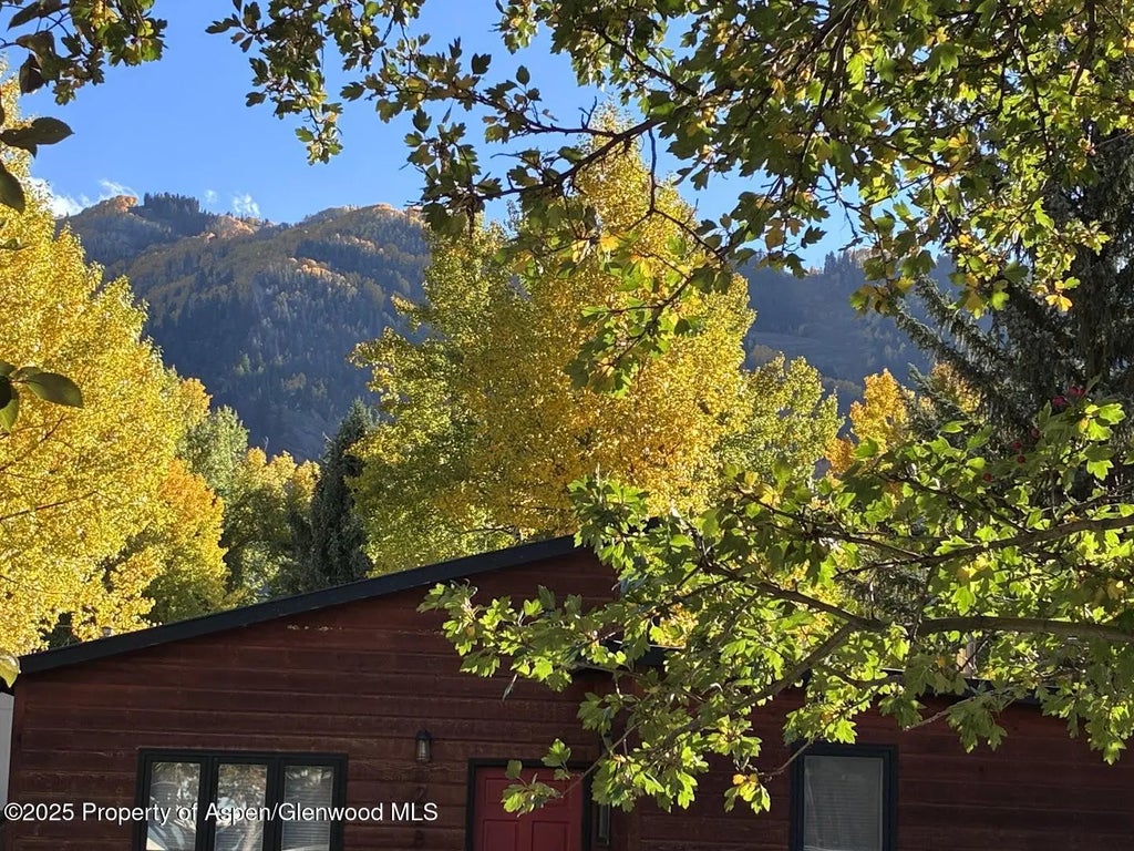 2 of 13 - 227 Cottonwood Lane, Aspen, CO