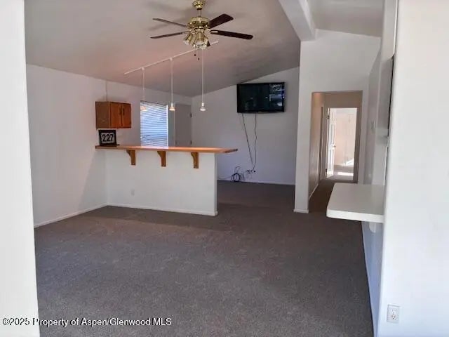 5 of 13 - 227 Cottonwood Lane, Aspen, CO