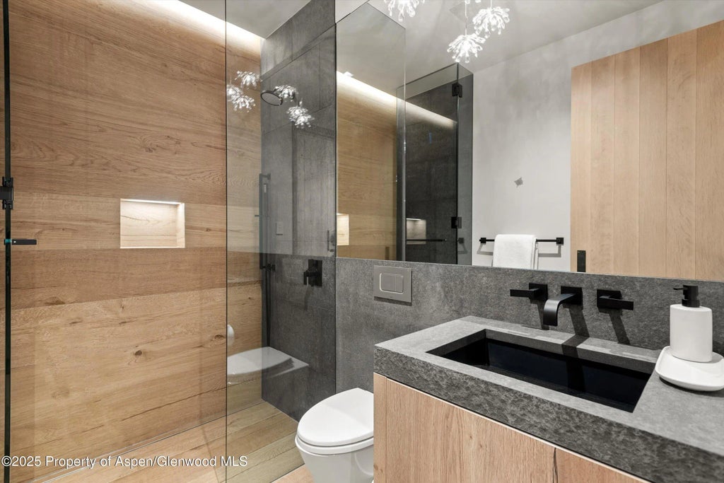 20 of 25 - 543 Walnut Street B, Aspen, CO