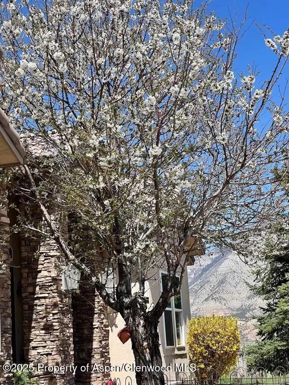 24 of 25 - 233 Meadow Creek Drive, Parachute, CO