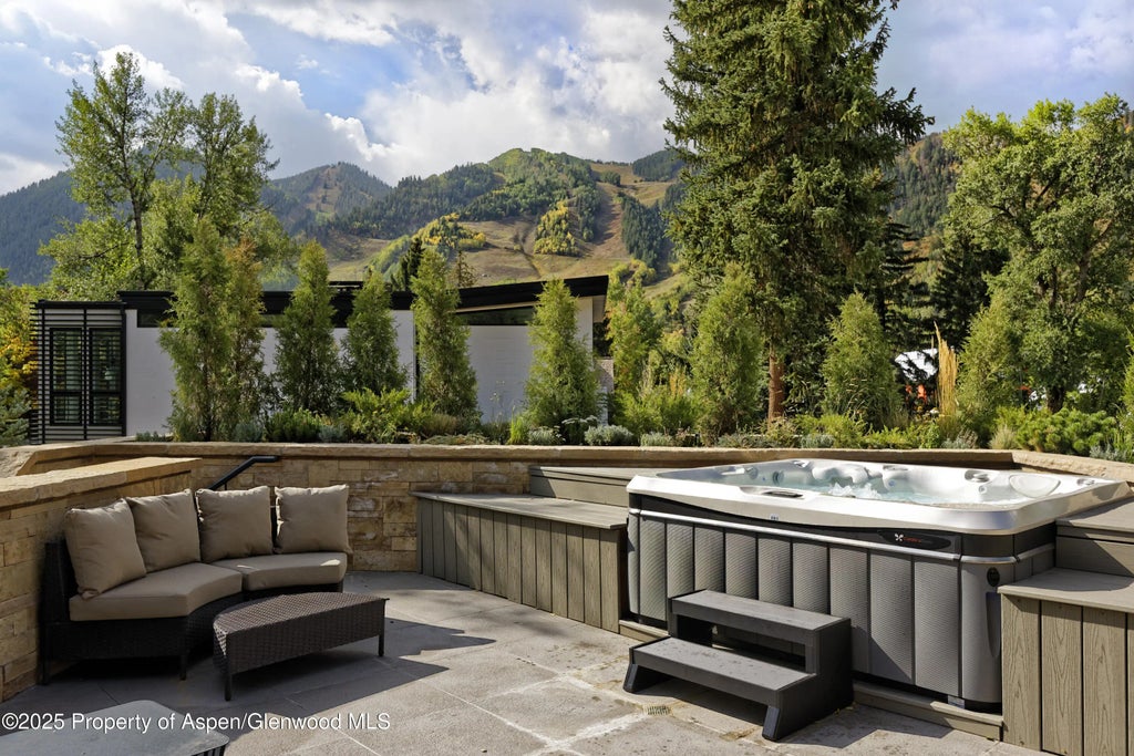 33 of 38 - 219 N Monarch Street, Aspen, CO