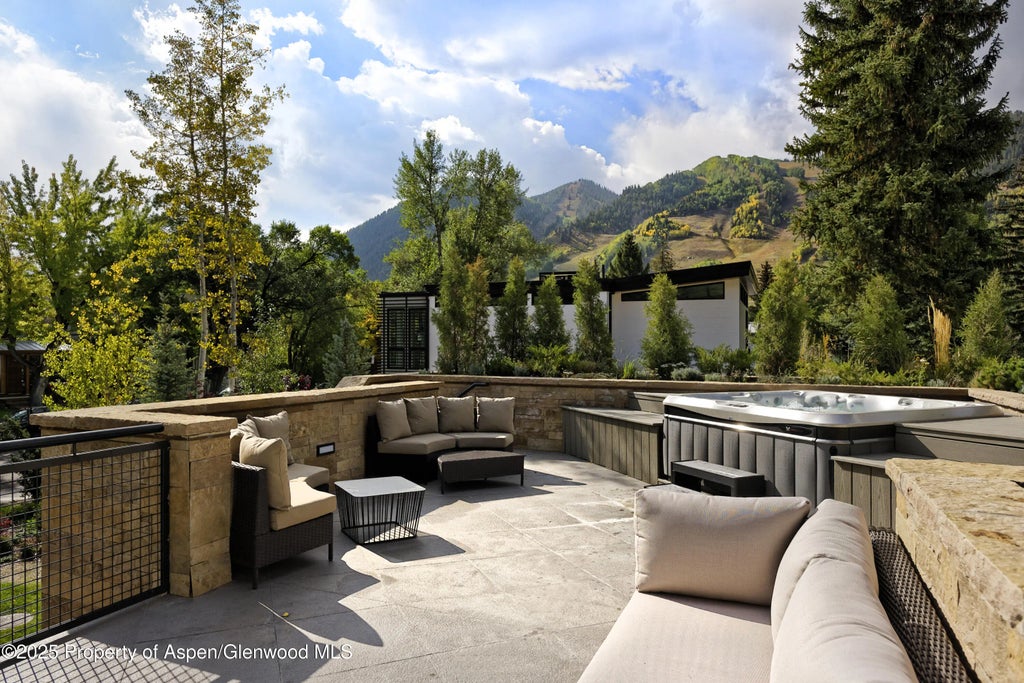 35 of 38 - 219 N Monarch Street, Aspen, CO