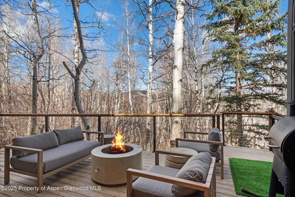 20 of 23 - 626 Faraway Road, Snowmass Village, CO