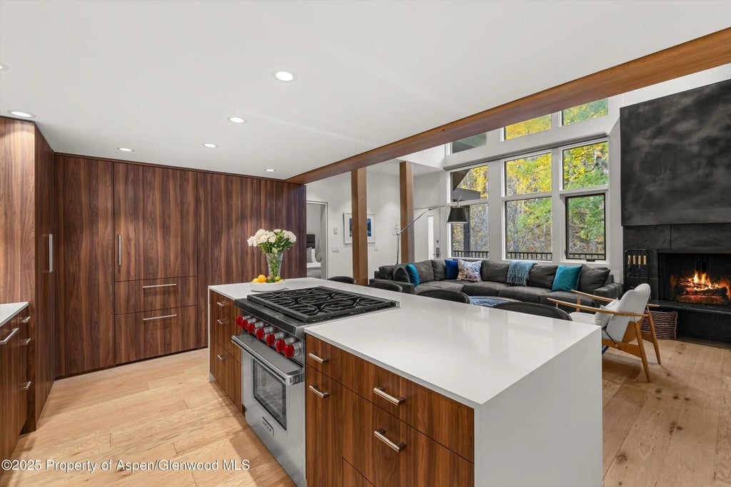 10 of 32 - 800 S Mill Street 303c, Aspen, CO