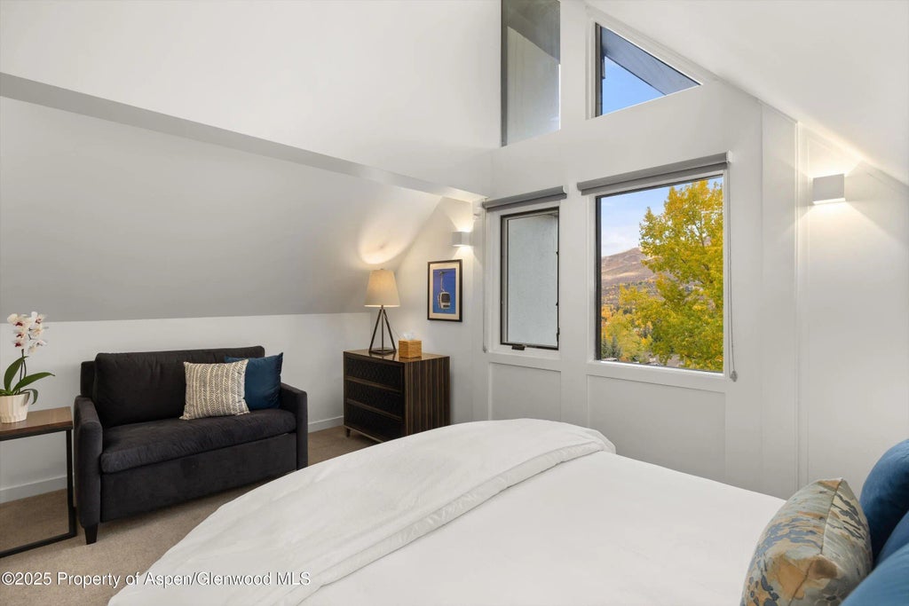 21 of 32 - 800 S Mill Street 303c, Aspen, CO