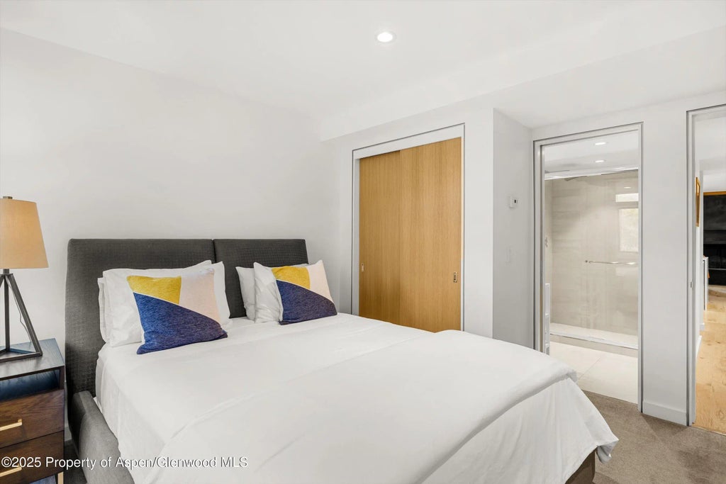 24 of 32 - 800 S Mill Street 303c, Aspen, CO