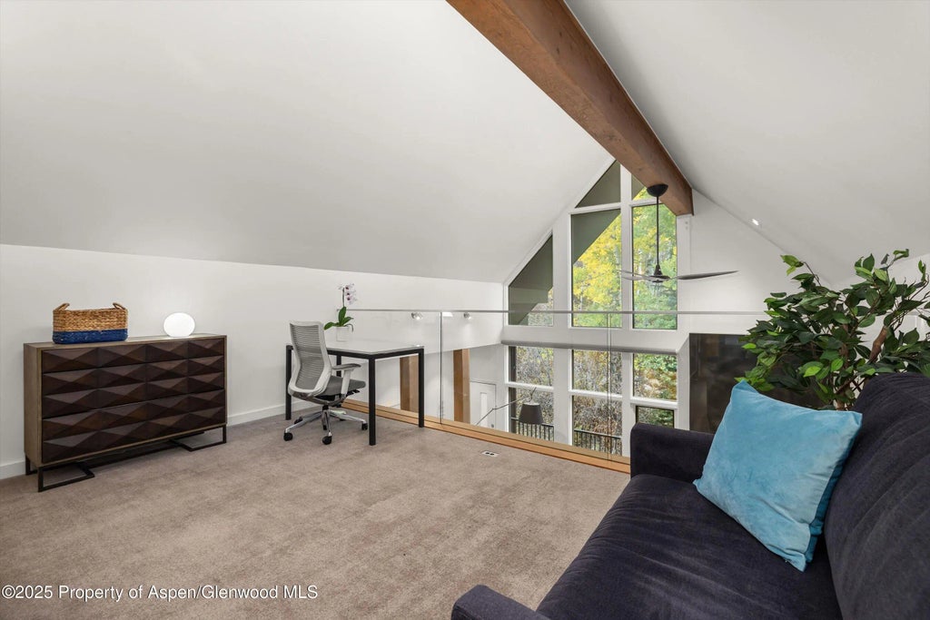 25 of 32 - 800 S Mill Street 303c, Aspen, CO