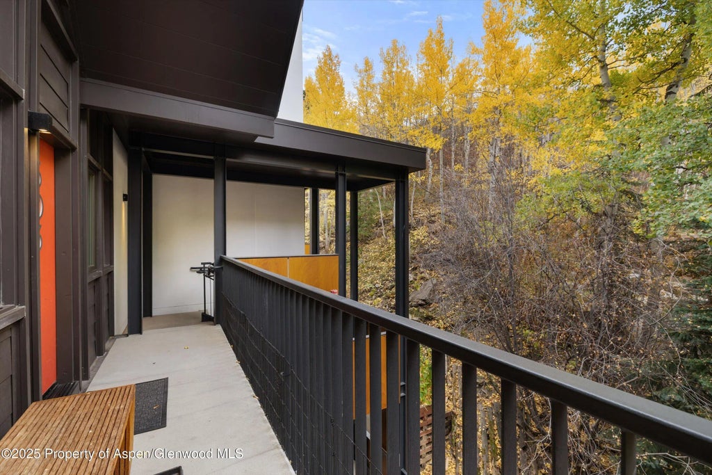 30 of 32 - 800 S Mill Street 303c, Aspen, CO