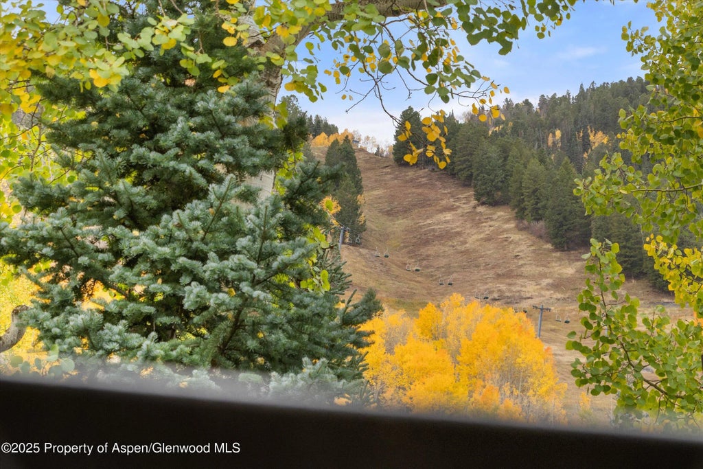 31 of 32 - 800 S Mill Street 303c, Aspen, CO