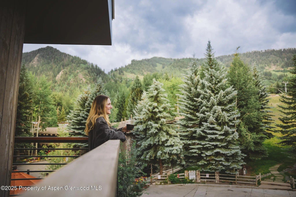 8 of 12 - 550 S Spring Street F2-1, Aspen, CO