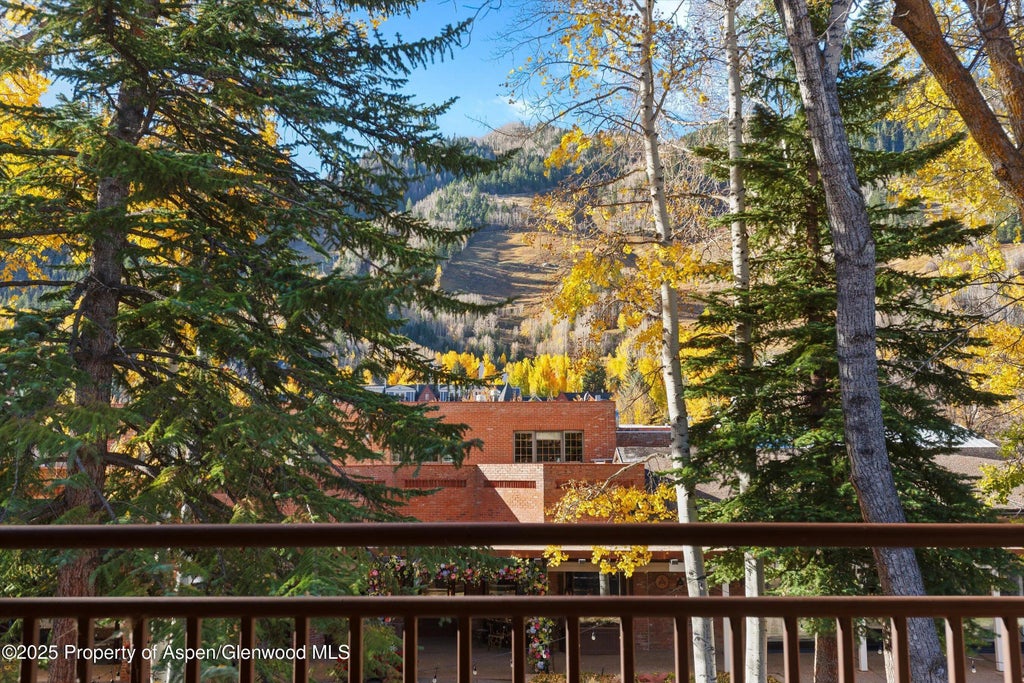 29 of 46 - 408 E Cooper Avenue, Aspen, CO