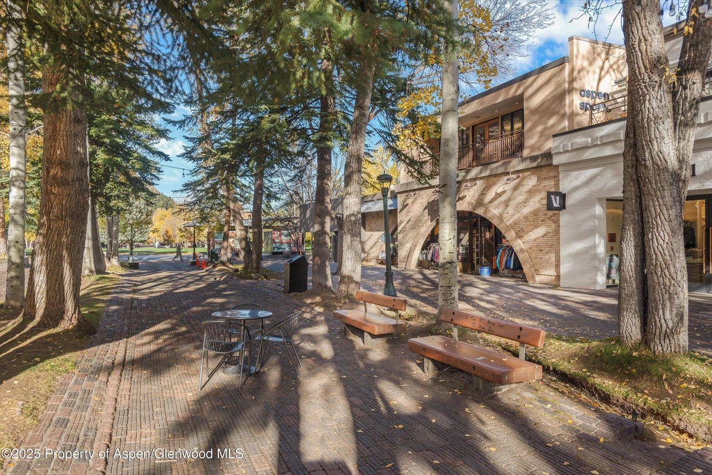 4 of 46 - 408 E Cooper Avenue, Aspen, CO