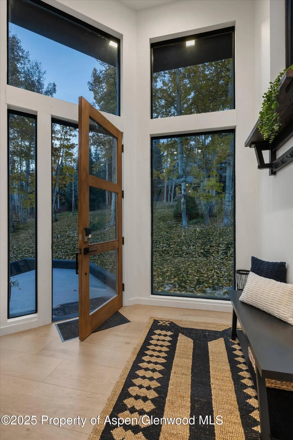 9 of 47 - 233 Stellar Lane, Snowmass Village, CO