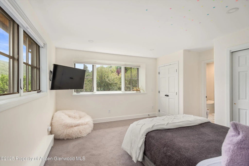 8 of 10 - 701 Brush Creek Road, Aspen, CO