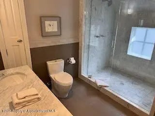 22 of 32 - 229 W Hallam Street, Aspen, CO