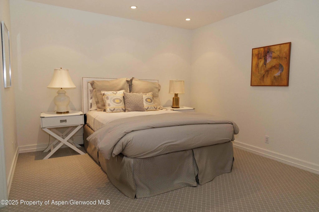 23 of 32 - 229 W Hallam Street, Aspen, CO