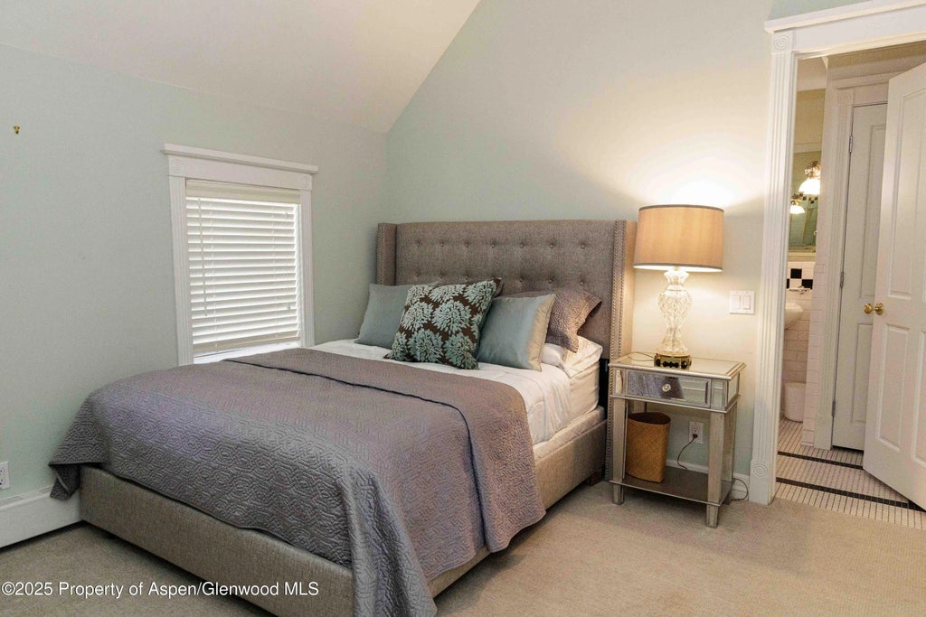 28 of 32 - 229 W Hallam Street, Aspen, CO