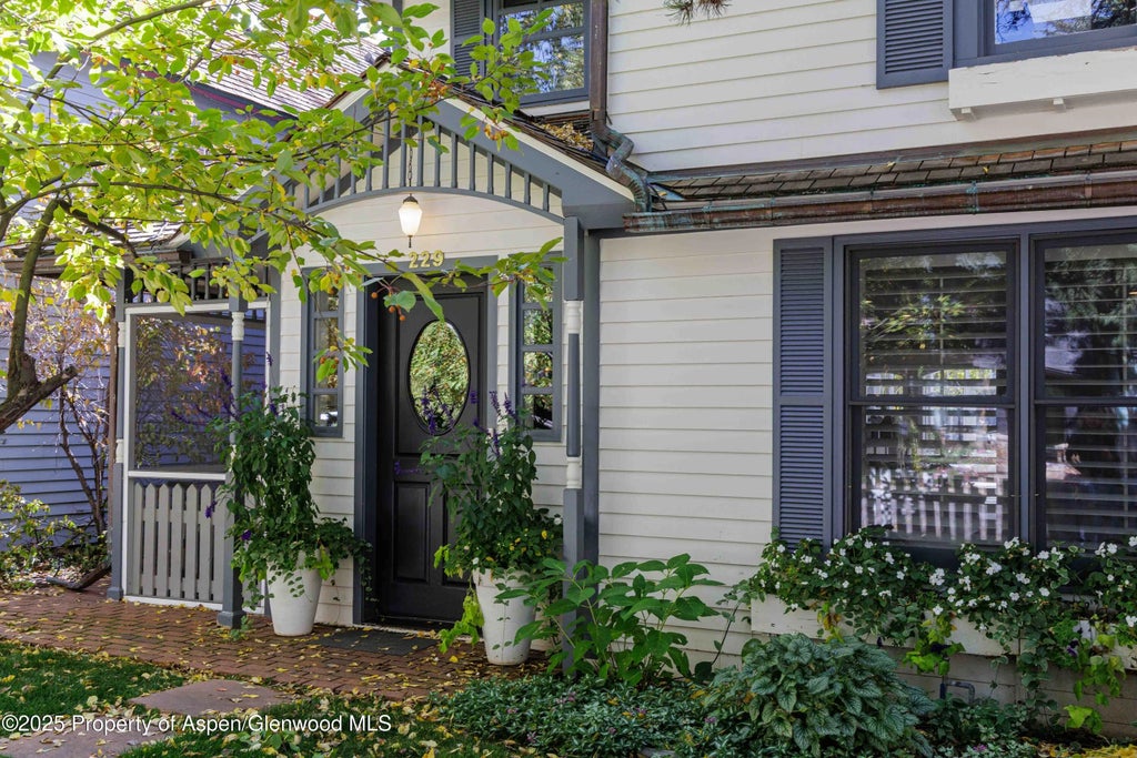 5 of 32 - 229 W Hallam Street, Aspen, CO