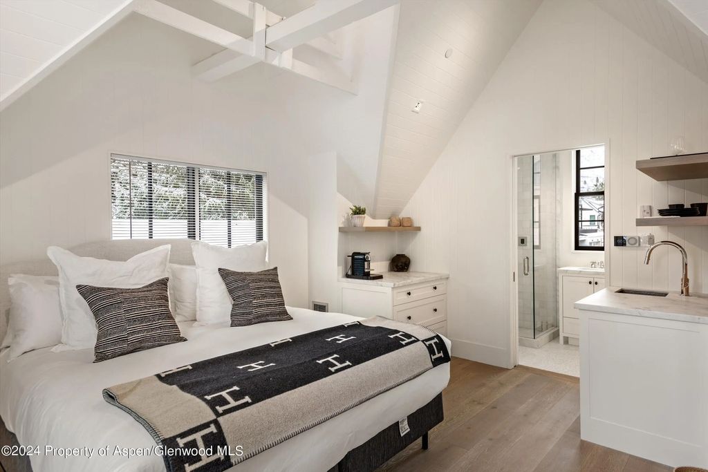 36 of 43 - 134 E Bleeker Street, Aspen, CO