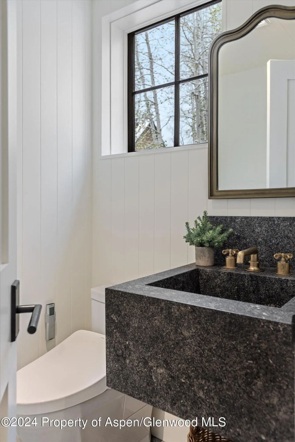 8 of 43 - 134 E Bleeker Street, Aspen, CO