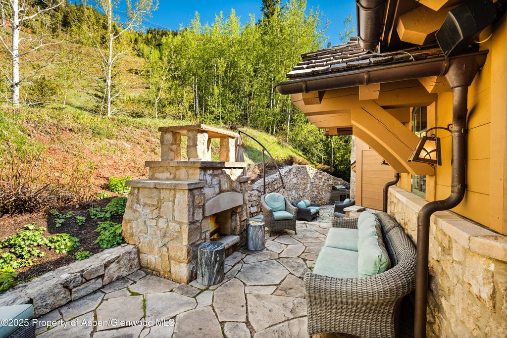 19 of 41 - 388 Exhibition Lane, Aspen, CO