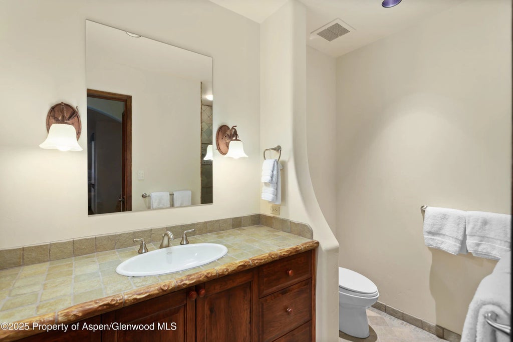 33 of 41 - 388 Exhibition Lane, Aspen, CO