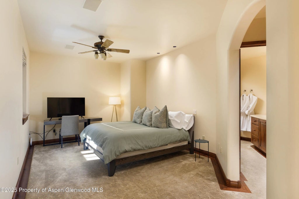 34 of 41 - 388 Exhibition Lane, Aspen, CO