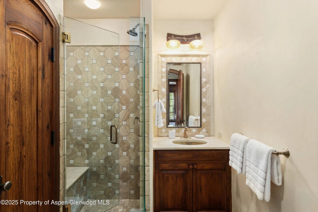 38 of 41 - 388 Exhibition Lane, Aspen, CO