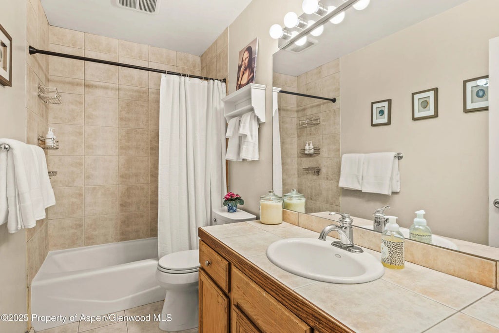 8 of 10 - 106 Swinging Bridge Lane, Basalt, CO