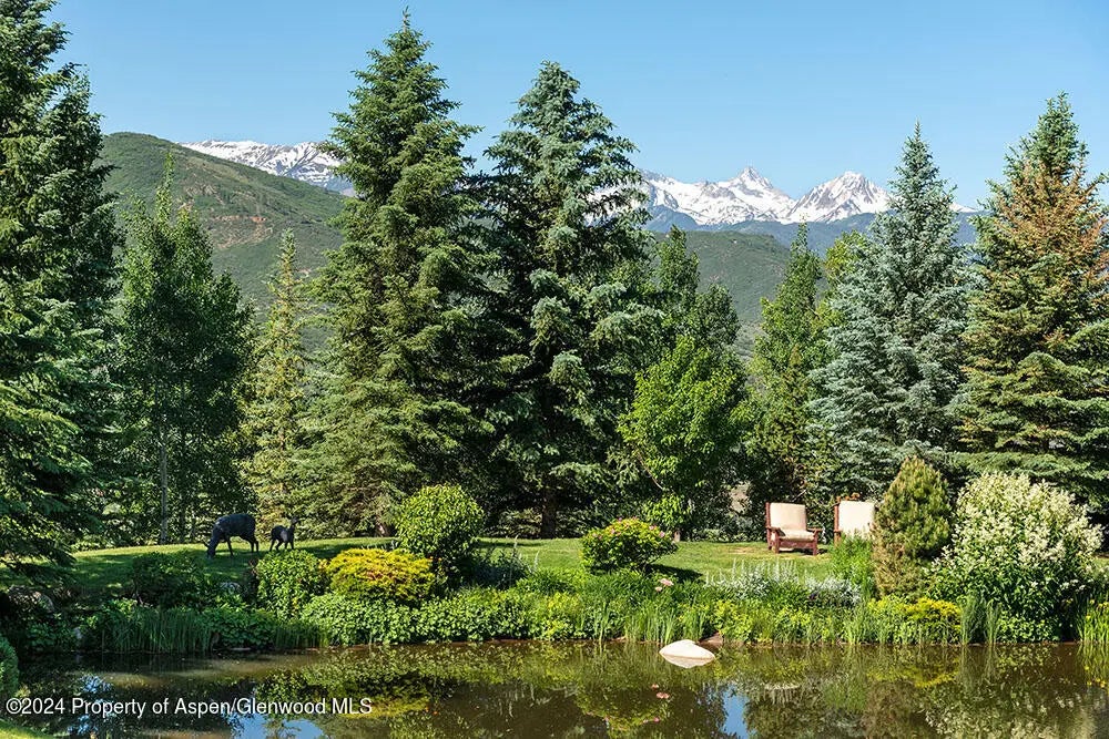 8 of 53 - 120 Running Mare Road, Woody Creek, CO